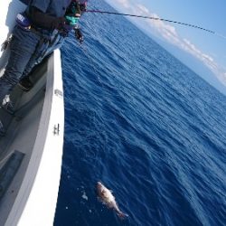 IDATEN(イダテン) 釣果