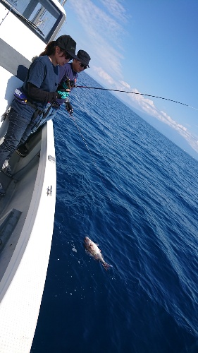 IDATEN(イダテン) 釣果