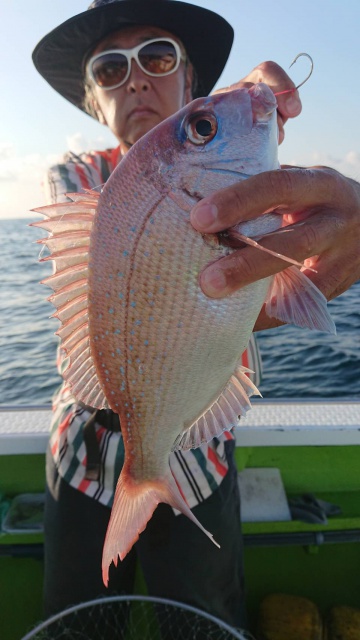 松栄丸 釣果
