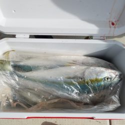 遊漁船　ニライカナイ 釣果
