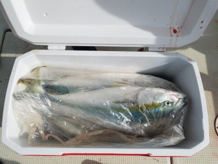 遊漁船　ニライカナイ 釣果