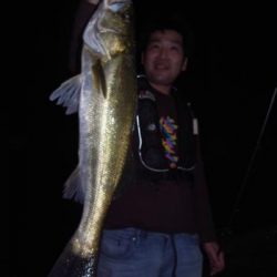 シーマジカル 釣果