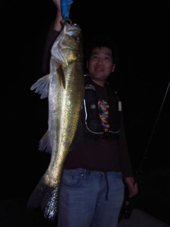 シーマジカル 釣果