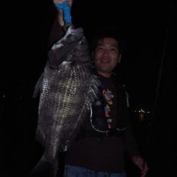 シーマジカル 釣果