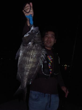 シーマジカル 釣果