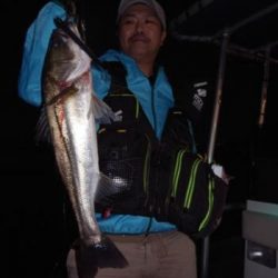 シーマジカル 釣果