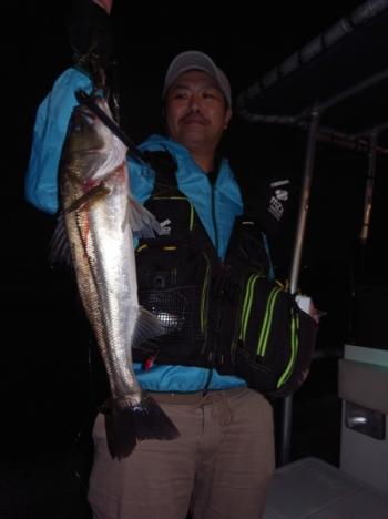 シーマジカル 釣果