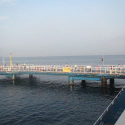 オリジナルメーカー海づり公園(市原市海づり施設) 釣果