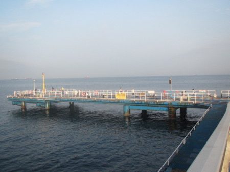 オリジナルメーカー海づり公園(市原市海づり施設) 釣果