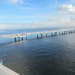 オリジナルメーカー海づり公園(市原市海づり施設) 釣果
