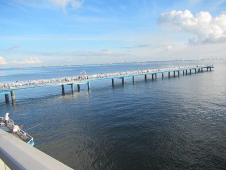 オリジナルメーカー海づり公園(市原市海づり施設) 釣果