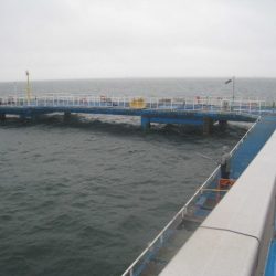 オリジナルメーカー海づり公園(市原市海づり施設) 釣果