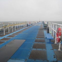 オリジナルメーカー海づり公園(市原市海づり施設) 釣果