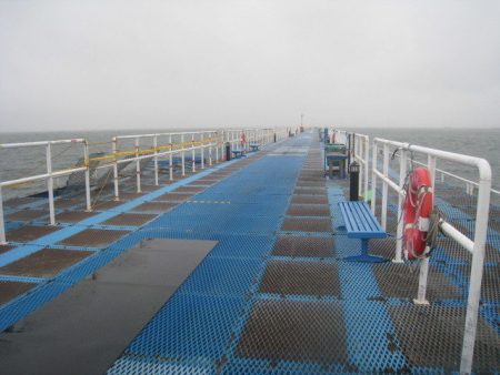 オリジナルメーカー海づり公園(市原市海づり施設) 釣果