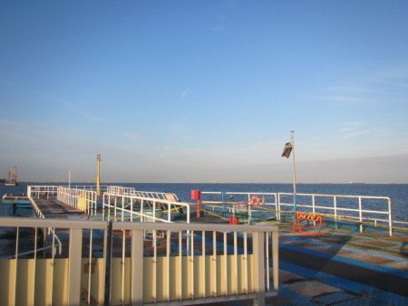 オリジナルメーカー海づり公園(市原市海づり施設) 釣果