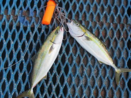 オリジナルメーカー海づり公園(市原市海づり…