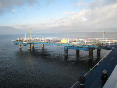 オリジナルメーカー海づり公園(市原市海づり施設) 釣果