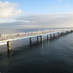 オリジナルメーカー海づり公園(市原市海づり施設) 釣果