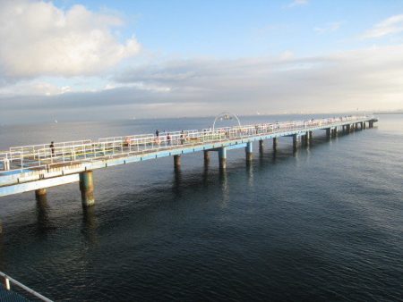 オリジナルメーカー海づり公園(市原市海づり施設) 釣果