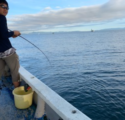 幸吉丸 釣果