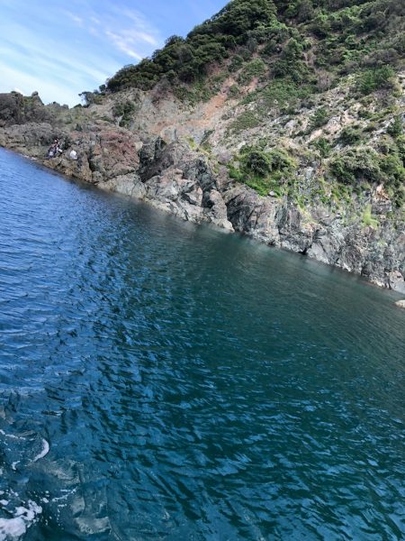 あみや渡船 釣果