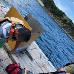 あみや渡船 釣果