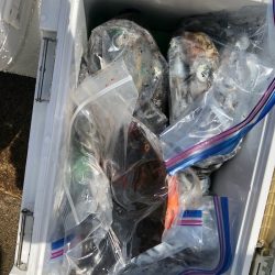 あみや渡船 釣果