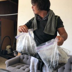 あみや渡船 釣果