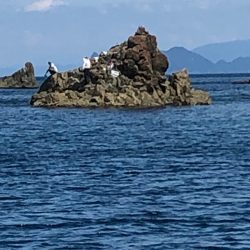 あみや渡船 釣果