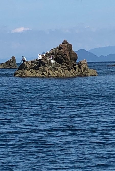 あみや渡船 釣果