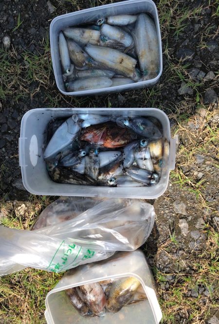 あみや渡船 釣果