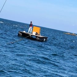 あみや渡船 釣果