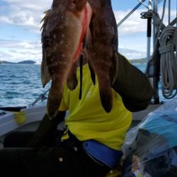 遊漁船 ニライカナイ 釣果