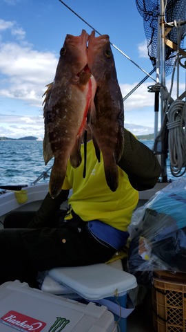 遊漁船 ニライカナイ 釣果
