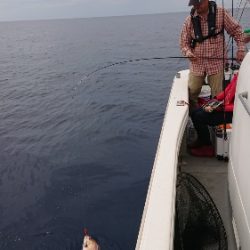 IDATEN（イダテン） 釣果