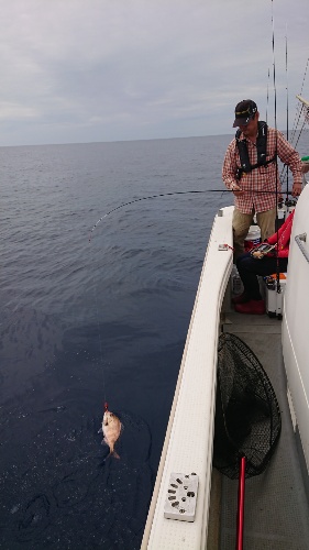 IDATEN（イダテン） 釣果