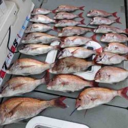 遊漁船 セトマリン 釣果