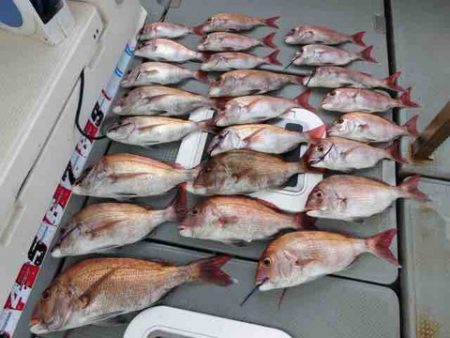 遊漁船 セトマリン 釣果