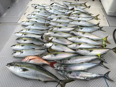 ミタチ丸 釣果