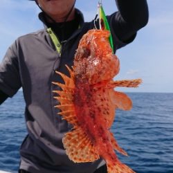 IDATEN(イダテン) 釣果