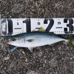 メタルジャッカーが沼島のパターンにハマった！【ルミカ エクストラーダ メタルジャッカー　インプレッション】