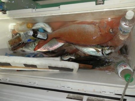 第二むつ漁丸 釣果