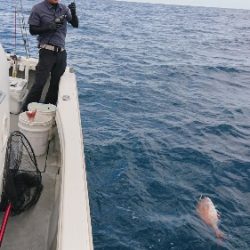 IDATEN(イダテン) 釣果