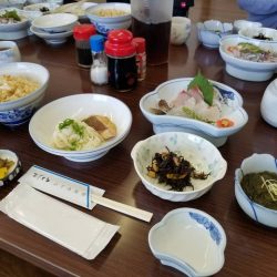 遊漁船 ニライカナイ 釣果