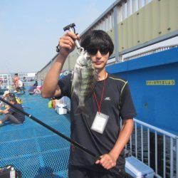 オリジナルメーカー海づり公園(市原市海づり施設) 釣果