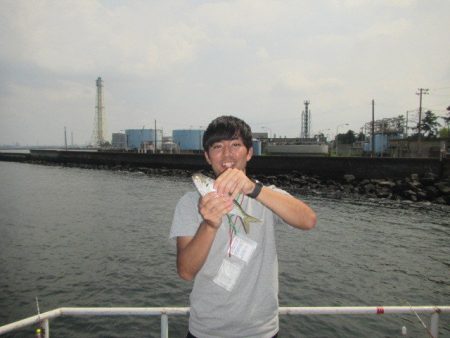 オリジナルメーカー海づり公園(市原市海づり施設) 釣果