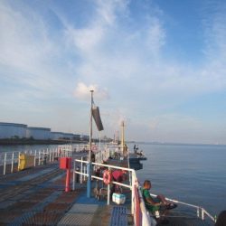 オリジナルメーカー海づり公園(市原市海づり施設) 釣果