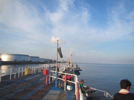 オリジナルメーカー海づり公園(市原市海づり施設) 釣果