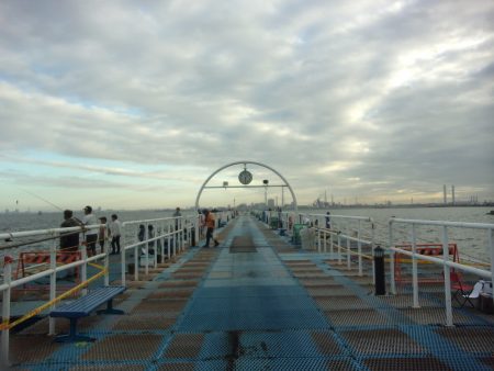 オリジナルメーカー海づり公園(市原市海づり施設) 釣果