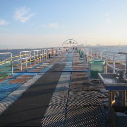 オリジナルメーカー海づり公園(市原市海づり施設) 釣果